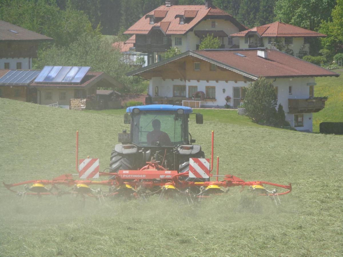 Hotel Hinterlechnerhof Westendorf Zewnętrze zdjęcie